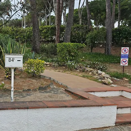 Standar Cerca De La Playa