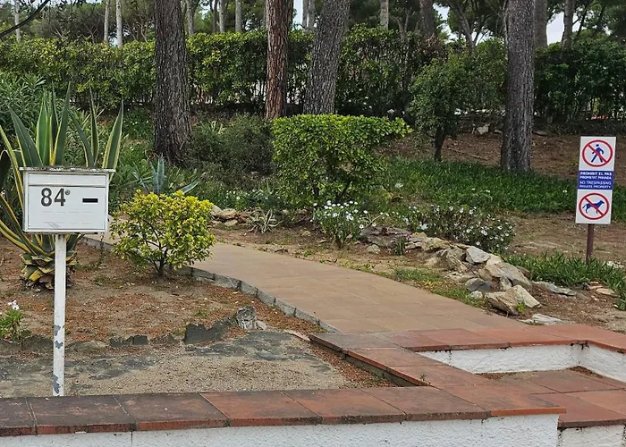 Standar Cerca De La Playa