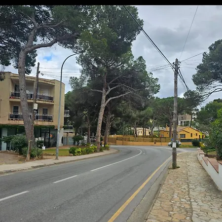 Standar Cerca De La Playa Gerona