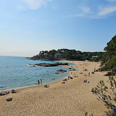 Standar Cerca De La Playa Girona